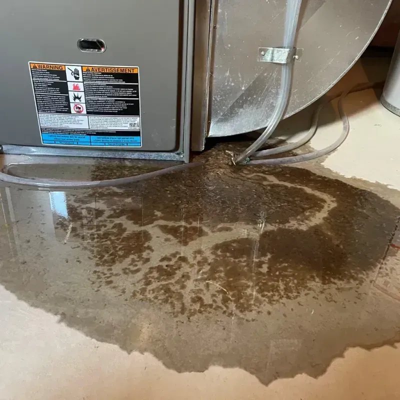 Appliance Leak Cleanup in Fox River Grove, IL